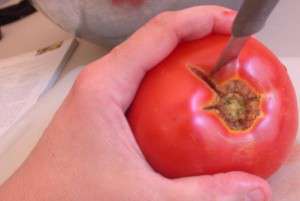 Peel tomatoes - 4 - core tomato