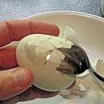 Classic Macaroni Salad - slip spoon under shell Carefully slip spoon under shell and pull it away