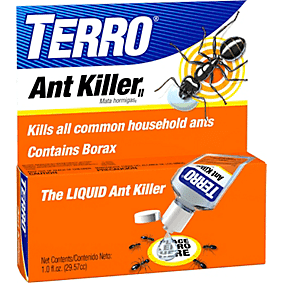 Terro Ant Bait for ants