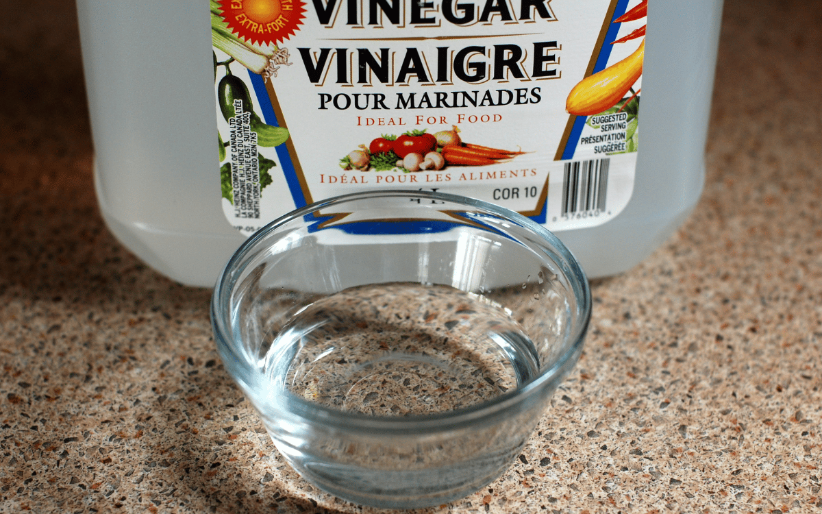 vinegar jug with glass bowl of liquid sitting on tan countertop