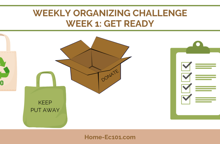 Weekly Organizational Challenge Kick Off