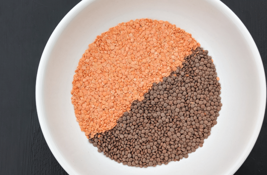 red and crimson dried lentils in a white bowl on a black background