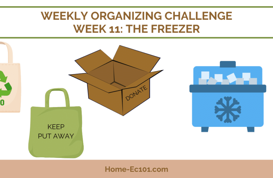 Graphic elements: two tote bags, an open cardboard box, a chest freezer on a pale background with the text Weekly organizing challege week 11 the freezer