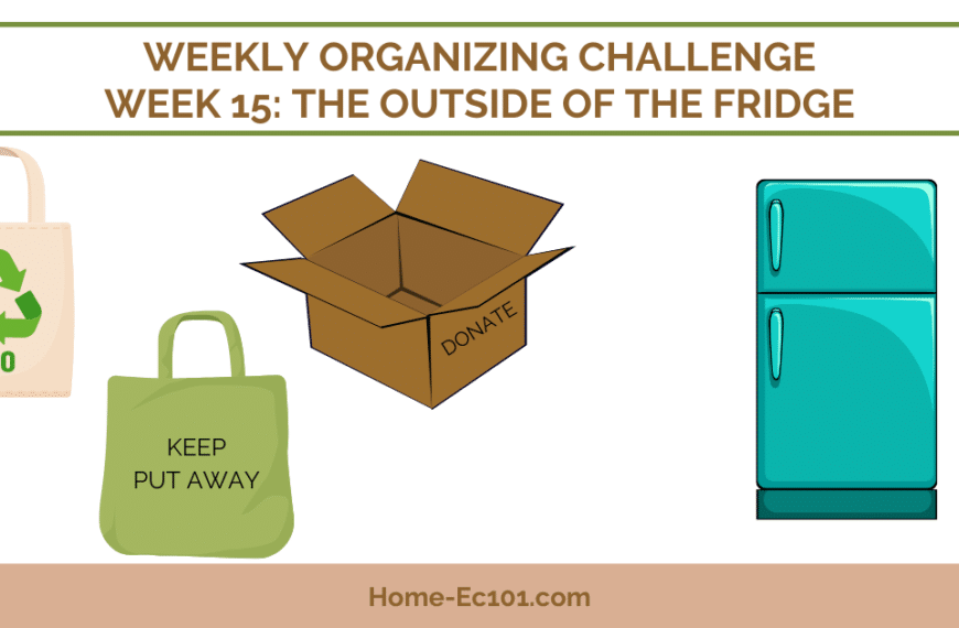 Organizational Challenge 15: The Outside of the Refrigerator