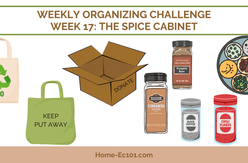Organizational Challenge 17: The Spice Rack or Cabinet