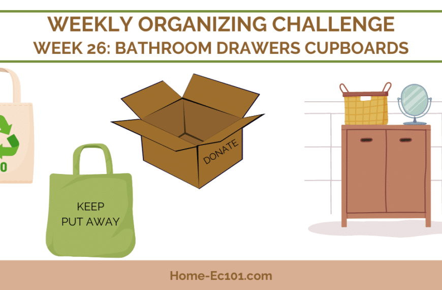 Organizational Challenge 26: Hidden Bathroom Spaces